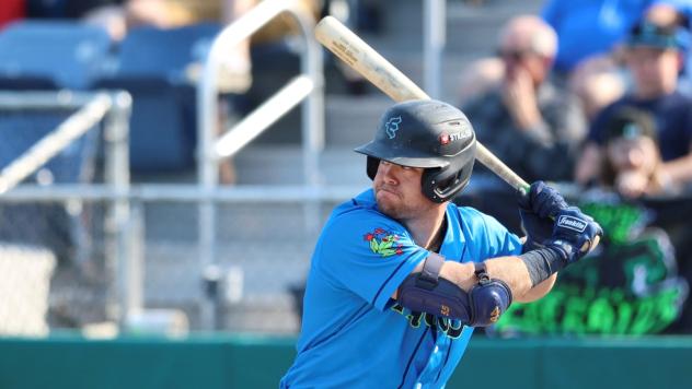 Matthew Ellis of the Everett AquaSox