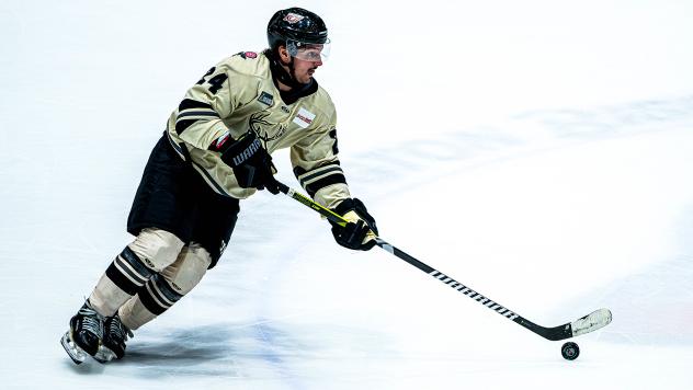 Forward Kristóf Papp with the Iowa Heartlanders