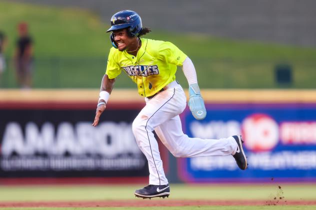 Henry Ramos of the Columbia Fireflies