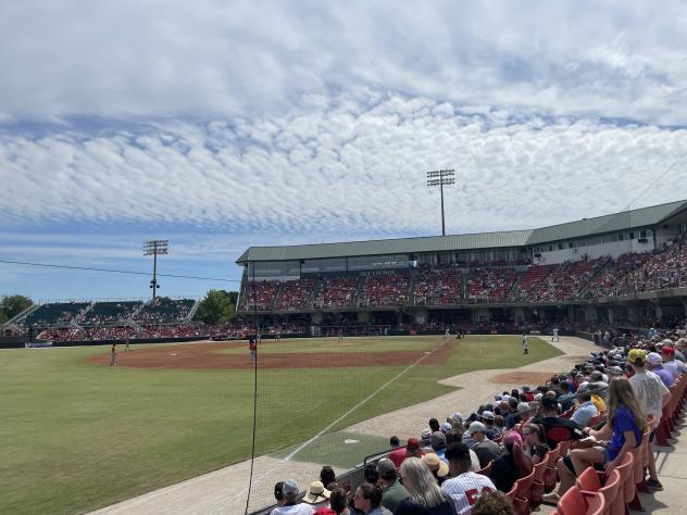 Carolina Mudcats fans enjoy the finale