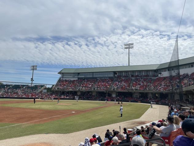 Carolina Mudcats fans enjoy the finale