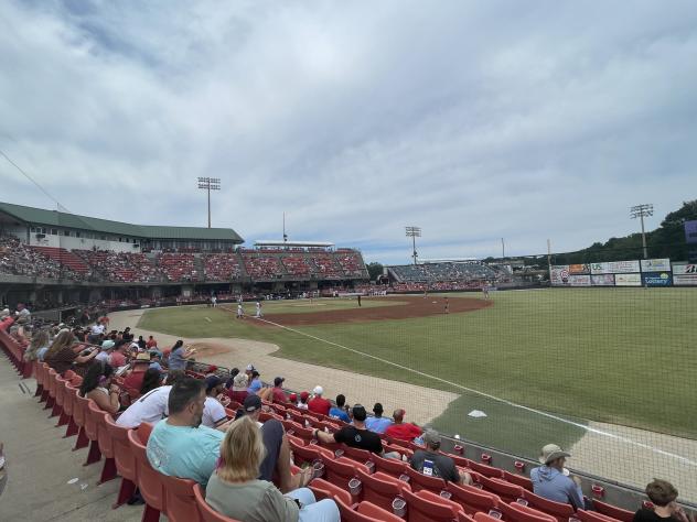 Carolina Mudcats fans enjoy the finale
