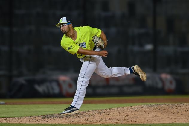 Columbia Fireflies pitcher Bryson Dudley