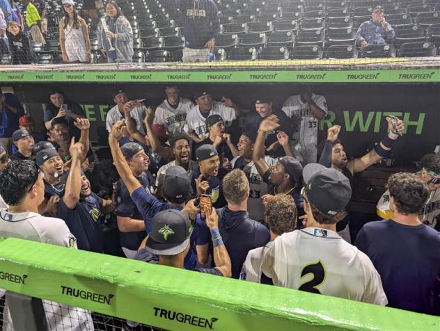 Columbia Fireflies celebrate a playoff series victory