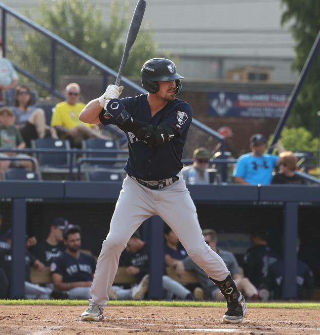 Somerset Patriots' Garrett Martin at bat