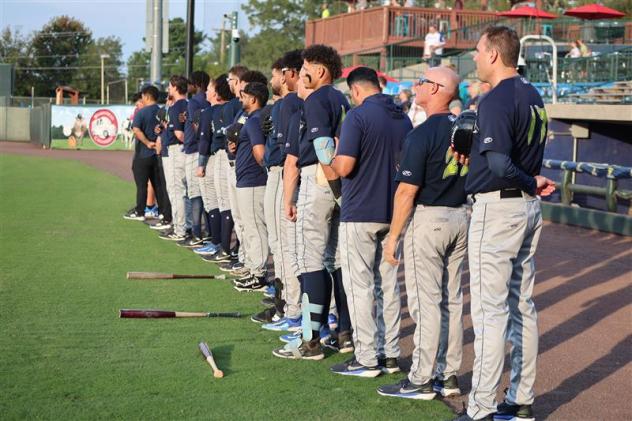 Columbia Firefliesstand for the National Anthem