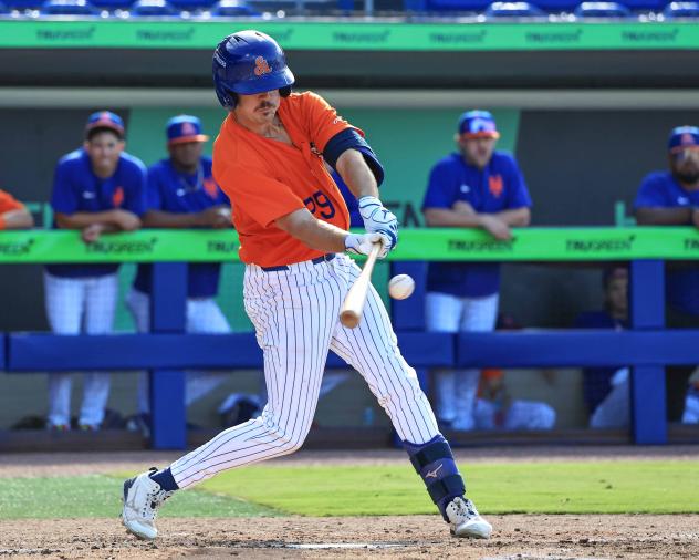 St. Lucie Mets first baseman Trace Willhoite