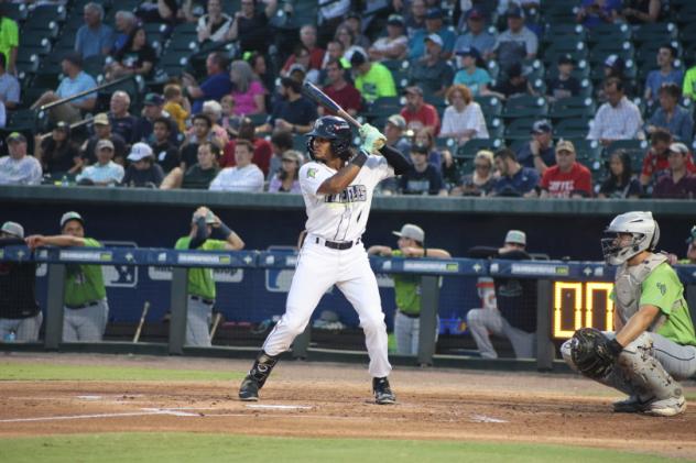 Henry Ramos at bat for the Columbia Fireflies