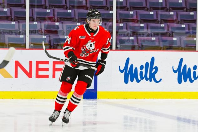 Forward Charlie Hotles with the Niagara IceDogs