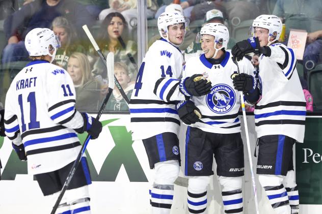 Wenatchee Wild on game night
