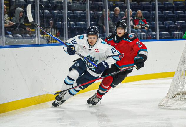 Kelowna Rockets battle the Penticton Vees in preseason action