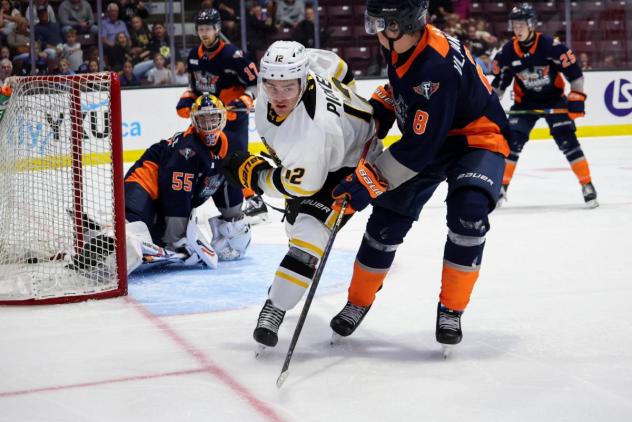 Flint Firebirds defenseman Darels Uljanskis (right) vs. the Sarnia Sting