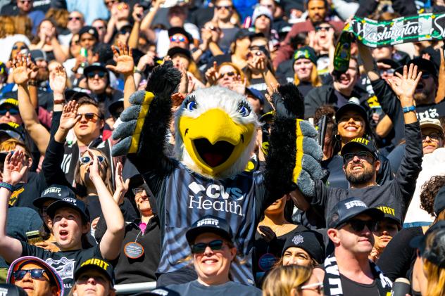 Washington Spirit fans at Audi Field