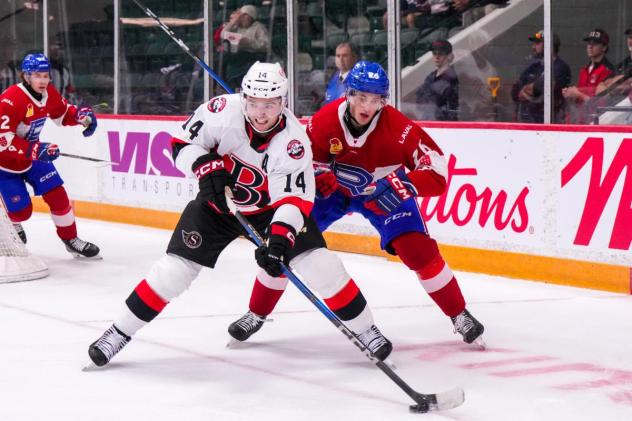 Belleville Senators' Scott Harrington and Laval Rocket's Will Dineen in action