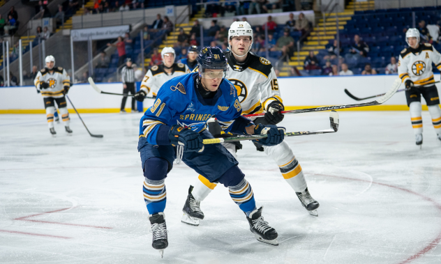Springfield Thunderbirds forward Nikita Susuev