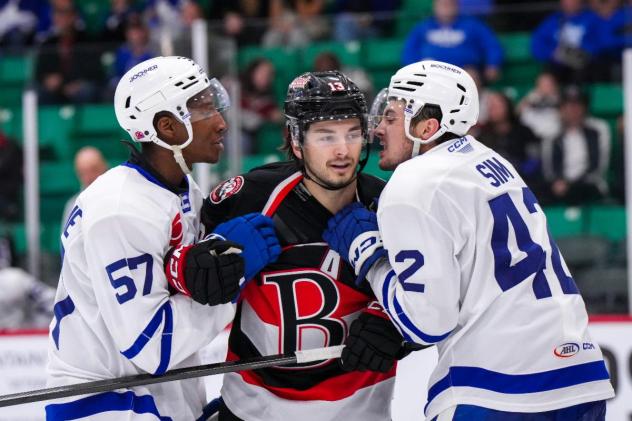 Belleville Senators and Toronto Marlies exchange pleasantries
