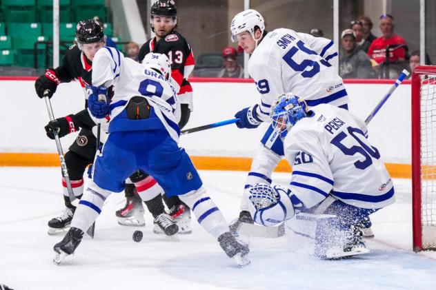 Belleville Senators look for a shot against the Toronto Marlies