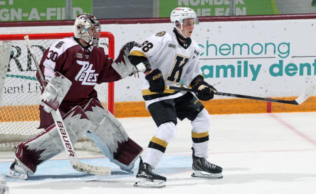 Peterborough Petes goaltender Easton Rye vs. the Kingston Frontenacs
