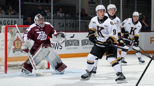 Peterborough Petes goaltender Easton Rye vs. the Kingston Frontenacs