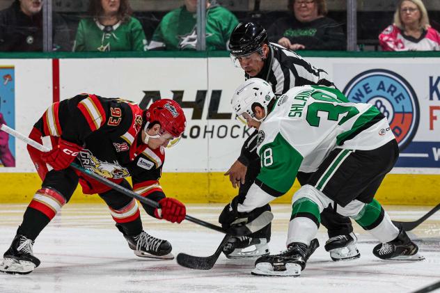 Grand Rapids Griffins' Amadeus Lombardi versus Texas Stars' Artem Shlaine