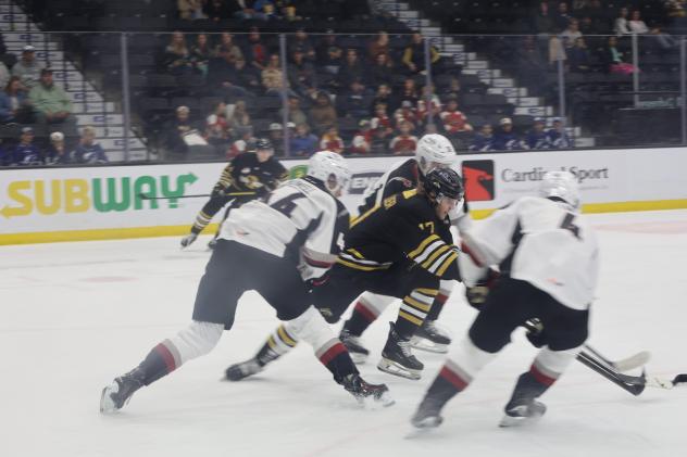 Vancouver Giants battle the Brandon Wheat Kings
