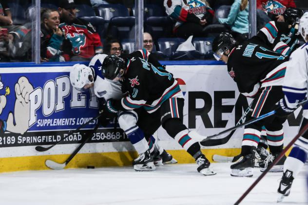 Kelowna Rockets left wing Tomas Poletin working against the boards