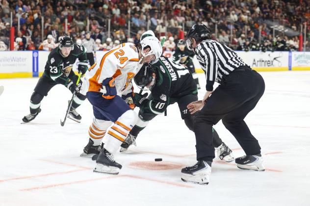 Greenville Swamp Rabbits' Jack Brackett battles Utah Grizzlies' Mick Messner