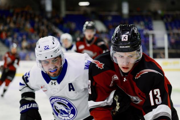 Wenatchee Wild's Zane Saab versus Vancouver Giant's Tobias Tomik