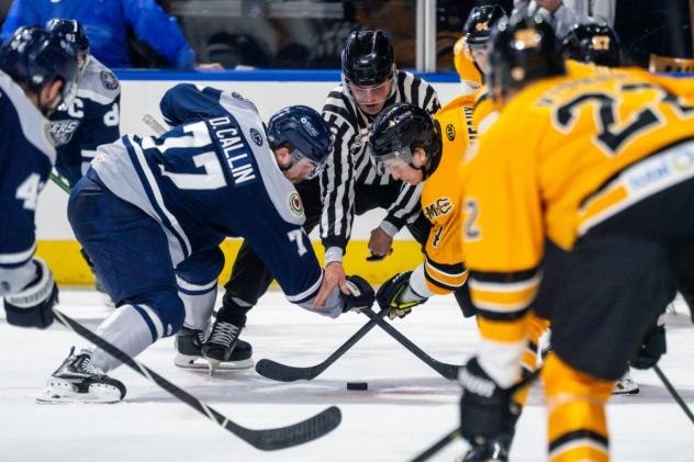 Worcester Railers forward Drew Callin (77) in the face off circle