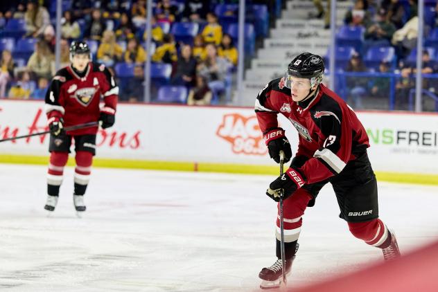 Vancouver Giants defenceman Tobias Tomik
