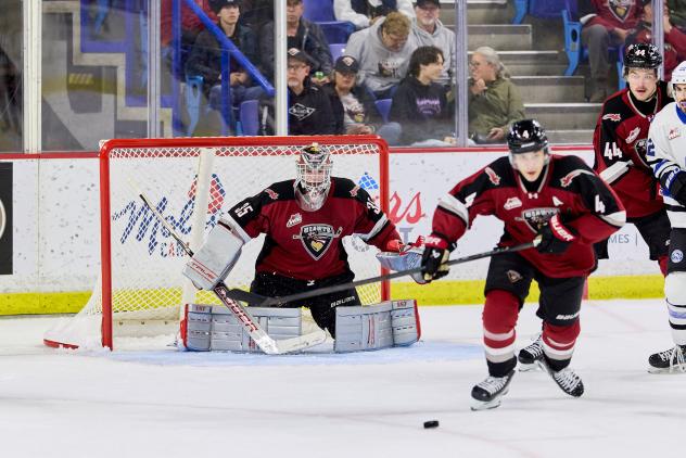 Vancouver Giants goaltender Burke Hood