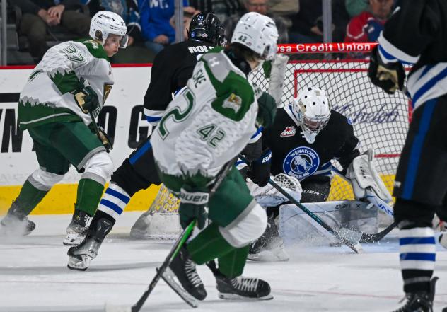 Wenatchee Wild goaltender Tobias Tvrznik