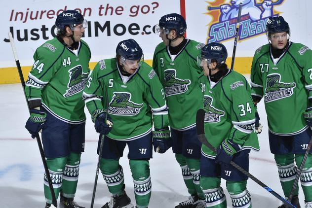 Florida Everblades gather following a goal