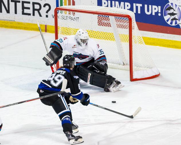 Kelowna Rockets goaltender Josh Banini vs. the Victoria Royals