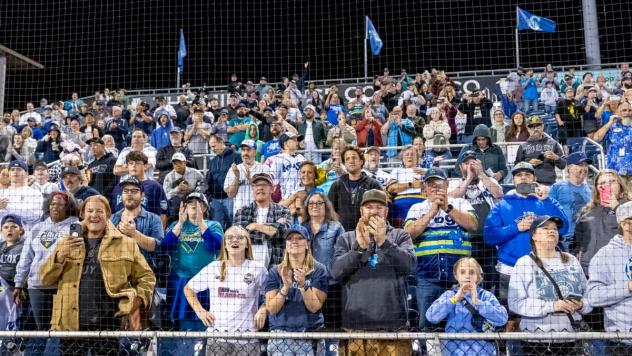 Everett AquaSox fans at Funko Field