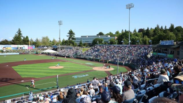 Everett AquaSox fans at Funko Field