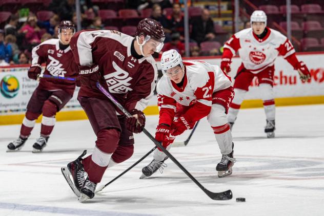 Peterborough Petes defenceman Genc Ula vs. the Soo Greyhounds