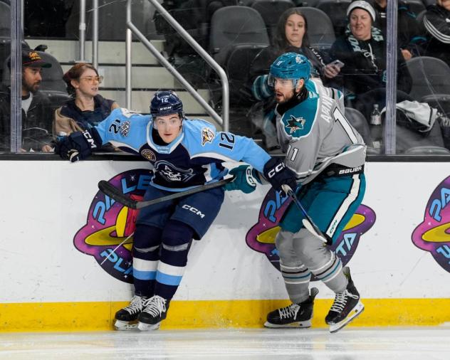 Milwaukee Admirals' Ryan Ufko and San Jose Barracuda's Yegor Afanasyev in action