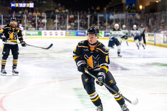 Wheeling Nailers defender Aidan Sutter