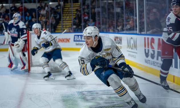 Springfield Thunderbirds forward Dalibor Dvorsky