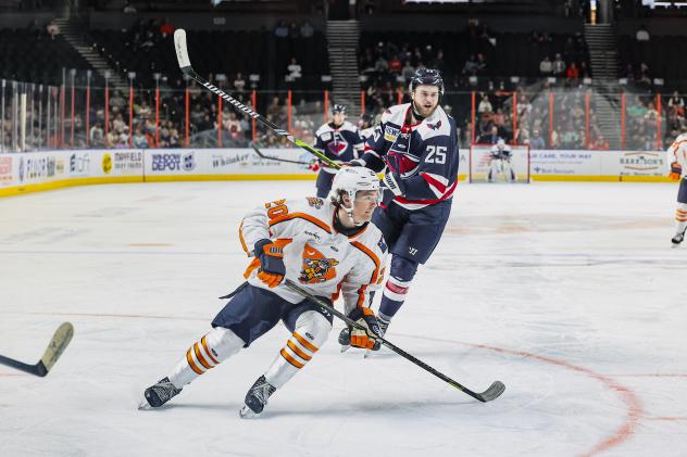 South Carolina Stingrays' Scott Docherty and Greenville Swamp Rabbits' Ryan O'Hara on the ice