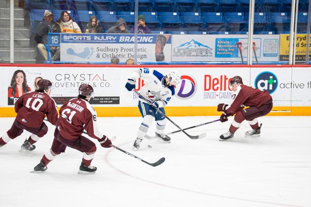 Peterborough Petes surround the Sudbury Wolves