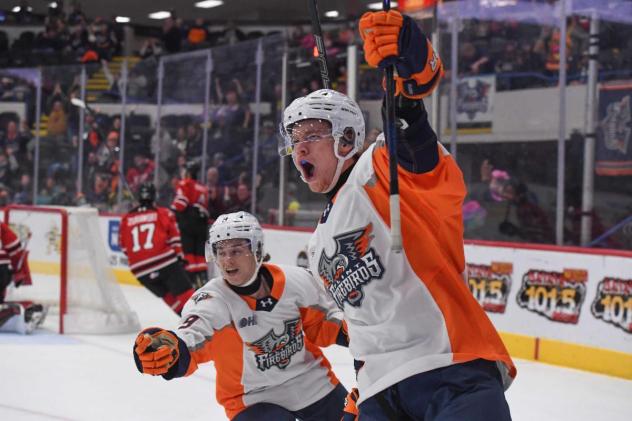 Flint Firebirds react after a goal against the Owen Sound Attack