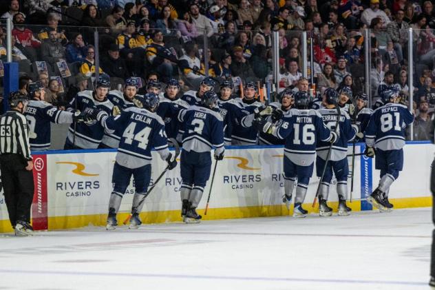 Worcester Railers exchange congratulations along the bench