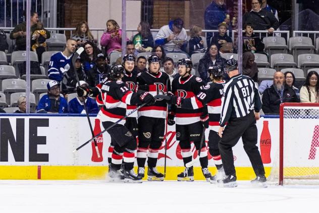 Belleville Senators gather after a goal