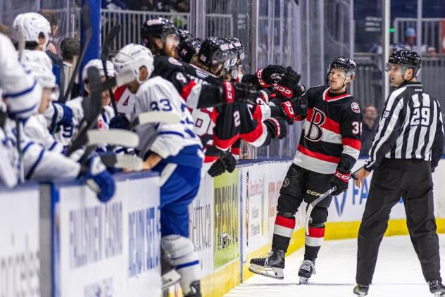 Belleville Senators exchange congratulations along the bench