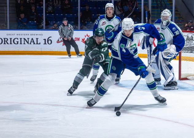 Defenseman Peyton Kettles with the Swift Current Broncos