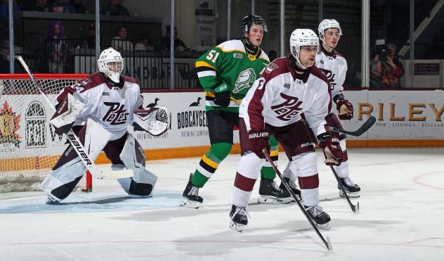 Peterborough Petes goaltender Masen Johnston and defenceman Thanasi Marentette
