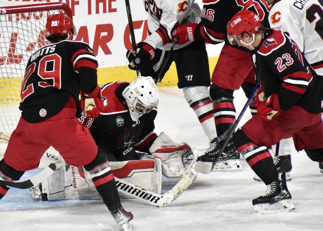 Allen Americans goaltender Marco Costantini fights to keep a puck out of the net