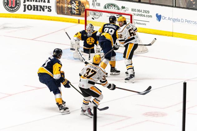 Wheeling Nailers look for a goal against the Norfolk Admirals